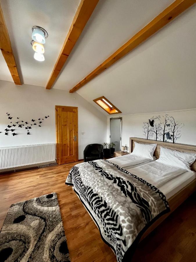 Vila Sofia Haţeg Eksteriør billede